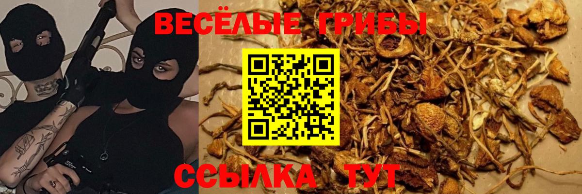Псилоцибиновые грибы ЛСД  Вход с VPN  Кизляр 